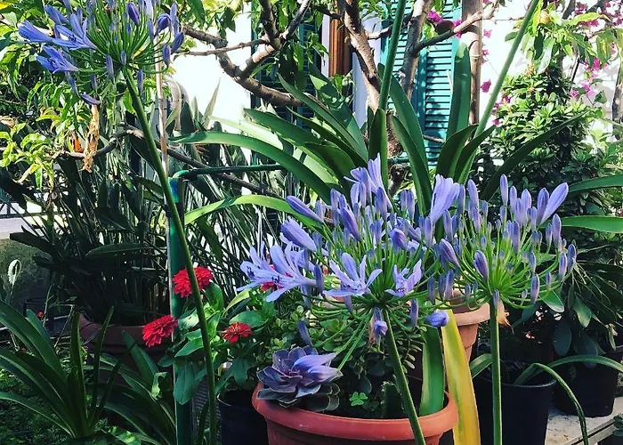 Casa Fornaciari Alojamento de Acomodação e Pequeno-almoço 3*